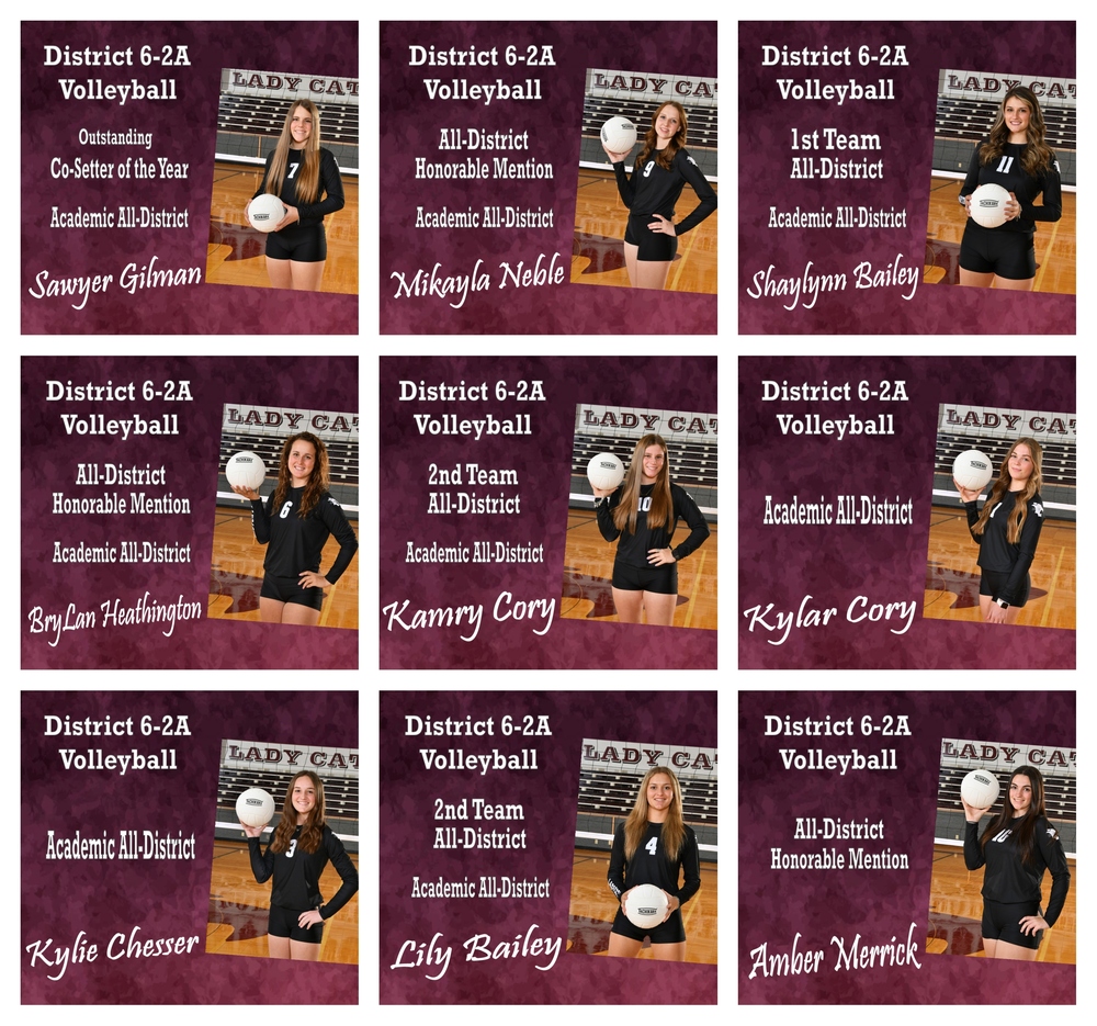 Bearcat Volleyball