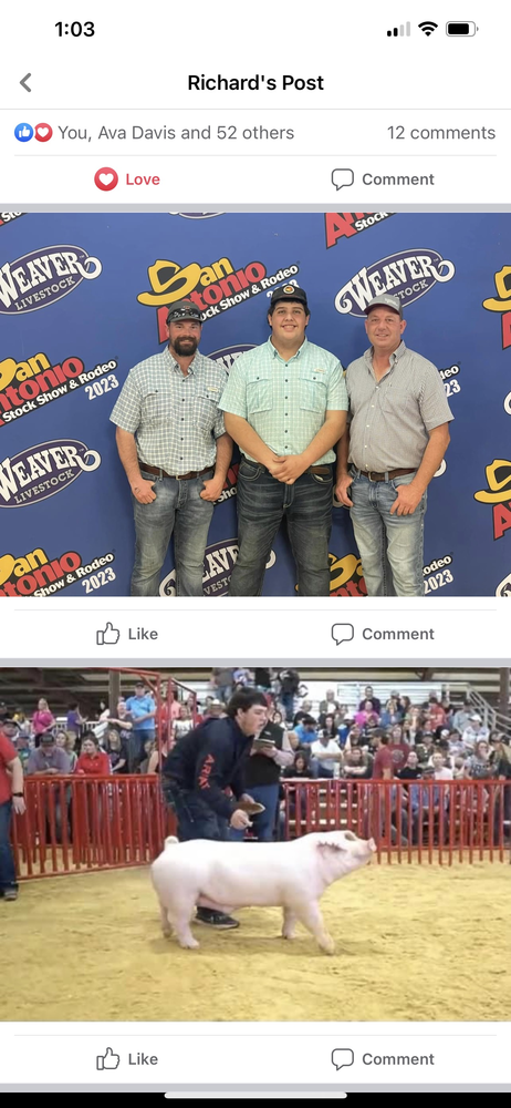 San Antonio Stockshow