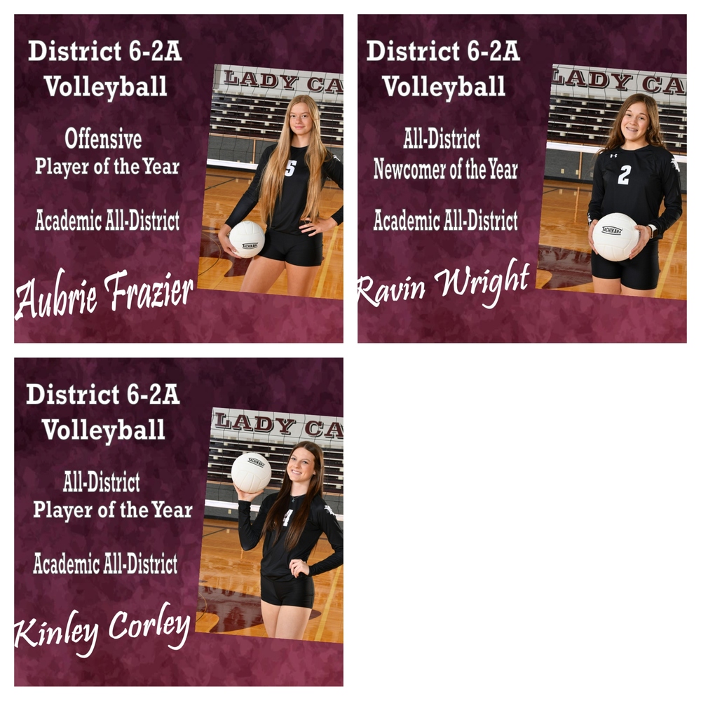 Bearcat Volleyball
